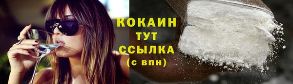 PSILOCYBIN Шали