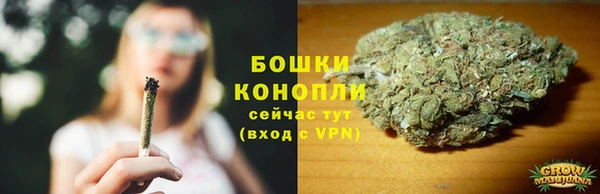 гидропоника Ельня