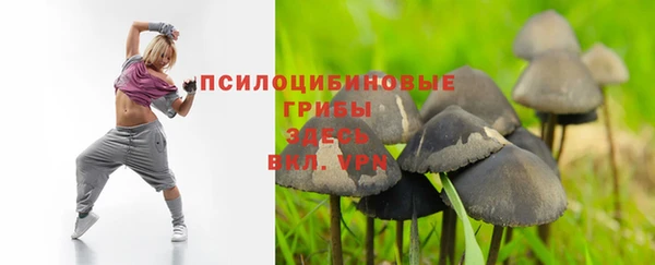 mdma Елизово