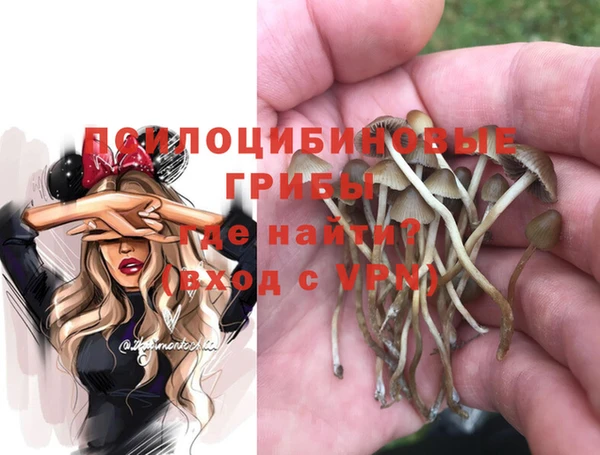 гашиш Дмитриев