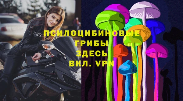 мяу мяу мука Шадринск