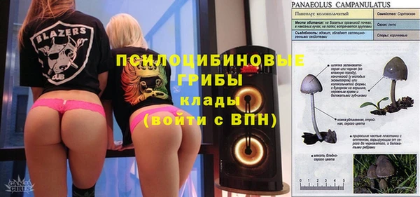 гидропоника Ельня