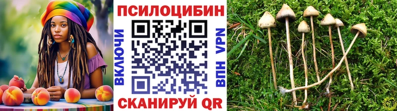 Галлюциногенные грибы Cubensis  наркотики  Рузаевка 