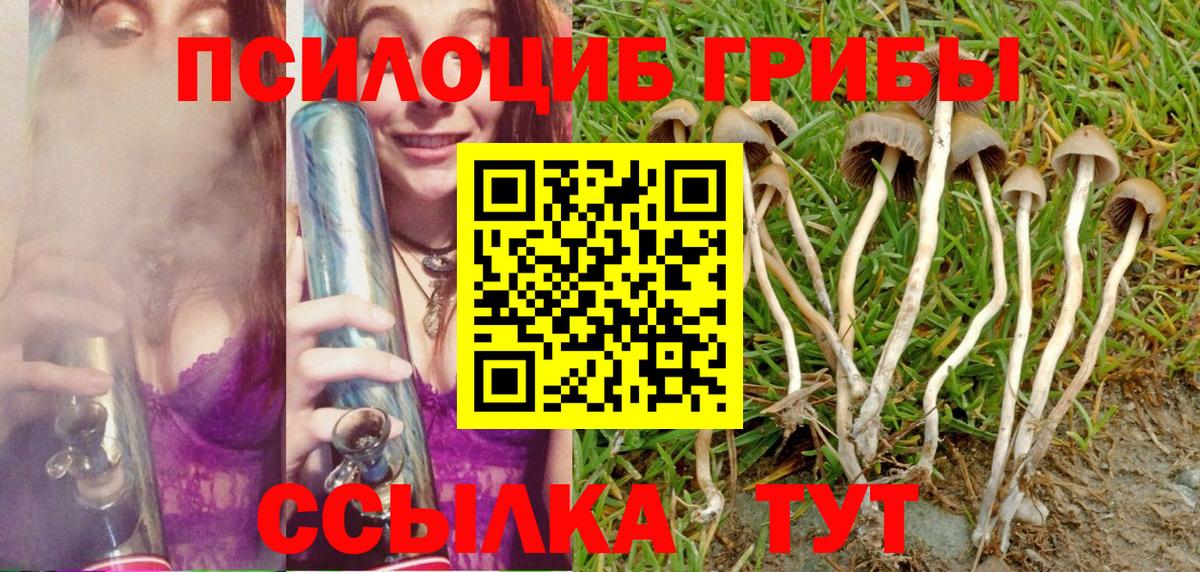 Псилоцибиновые грибы MAGIC MUSHROOMS Рузаевка