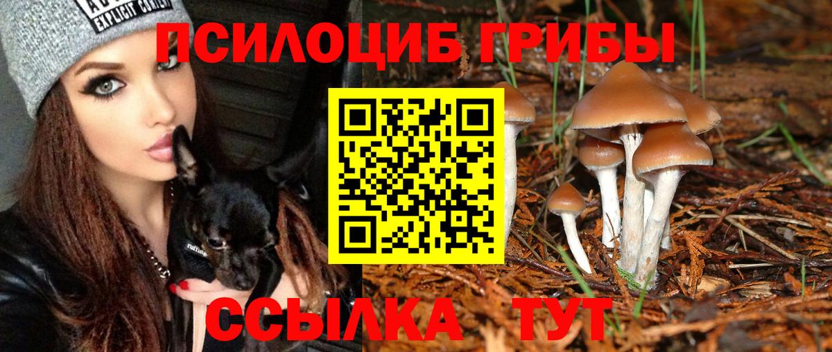 Галлюциногенные грибы Psilocybine cubensis  Вход с VPN  Рузаевка 